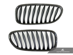 Replacement Carbon Fiber Front Grilles - E85 Coupe / E86 Cabrio / Z4 Series & Z4M