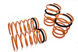 Megan Racing Lowering Springs For 97-01 Ford Escort / Ford ZX2