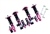 Megan Racing Spec RS Series Coilover Suspension Damper Set For 13+ Scion FR-S / Subaru BRZ