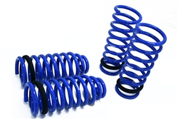 Megan Racing Lowering Springs For 98-04 Lexus GS400/430