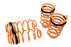 Megan Racing Lowering Springs For 99-05 Volkswagen Golf / GTi / Jetta